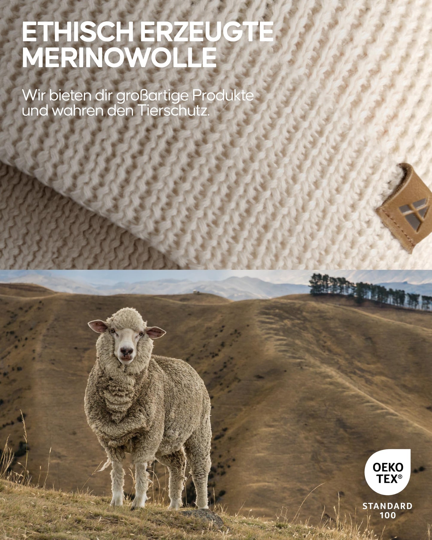 DANISH ENDURANCE Merino Mütze, Klassische Wollmütze, Warme Wintermütze, für Winter & Herbst, Weich, Stretchy, für Damen & Herren, Weiß, One Size