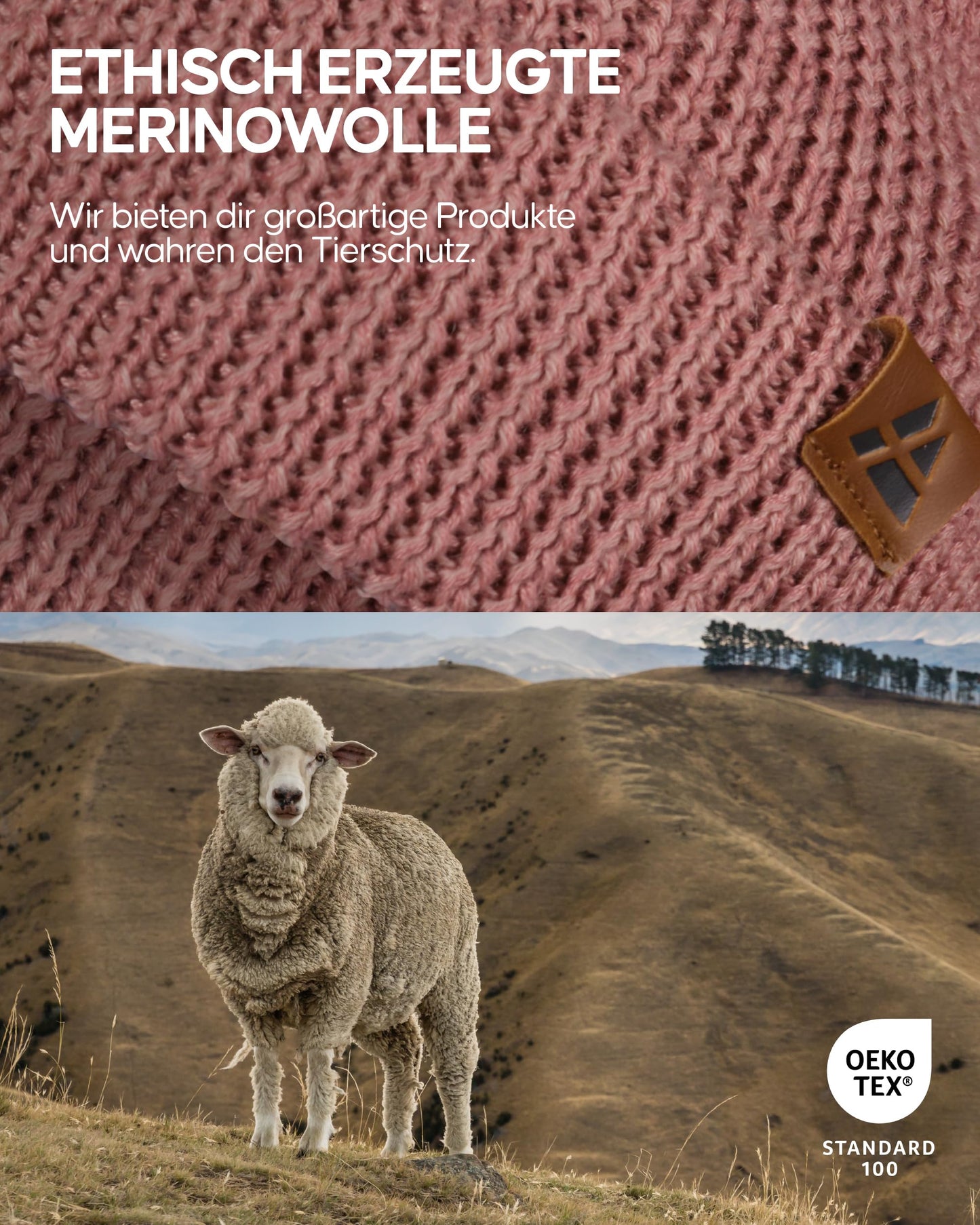 DANISH ENDURANCE Merino Mütze, Klassische Wollmütze, Warme Wintermütze, für Winter & Herbst, Weich, Stretchy, für Damen & Herren, Rosa, One Size